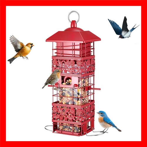 Squirrel proof bird - squirrel,
