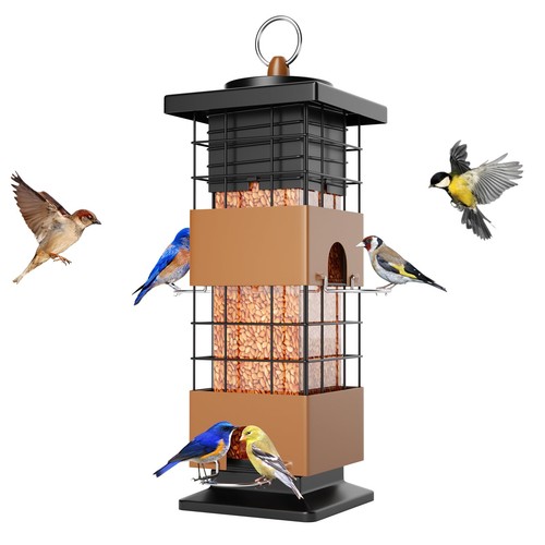 Squirrel proof bird - proof, feeder