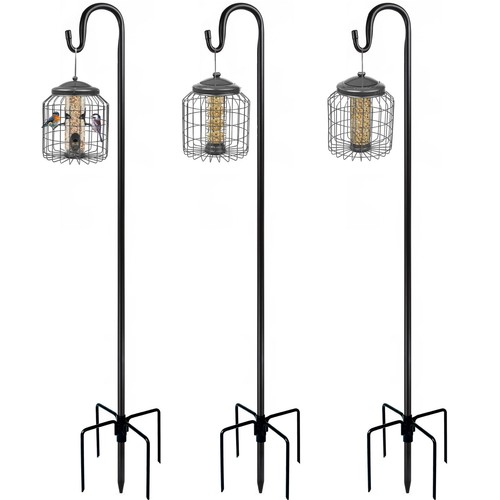 Bird feeding station - feeding, outdoor
