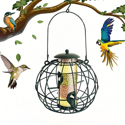 Squirrel proof bird feeders - bird,