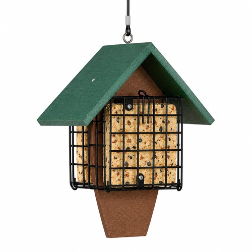 Sawtooth woodpecker feeder - sawtooth,