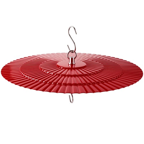 Metal bird feeder - bird, rain