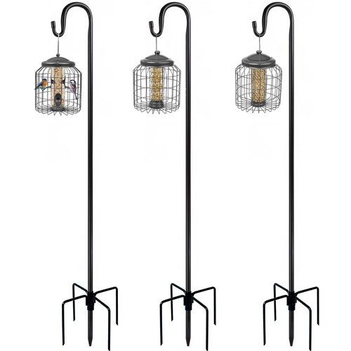 Bird feeding station - bird, outdoor