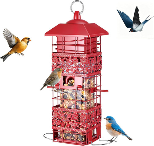 Squirrel proof bird feeder - bird,