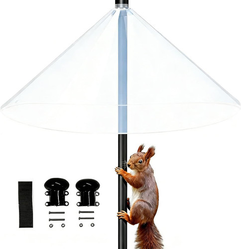 Squirrel baffle for bird - for,
