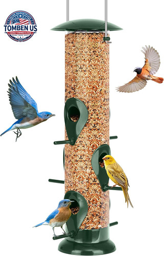 Bird feeder for outdoors - bird,