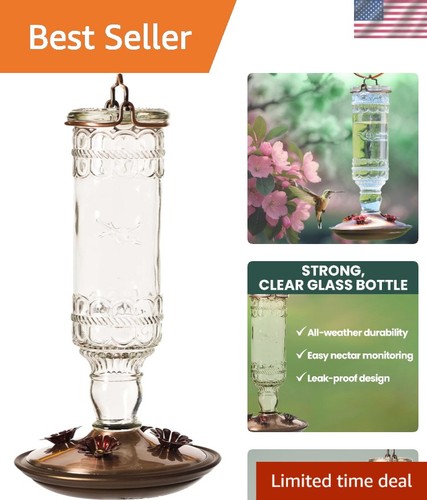 Clear antique bottle - antique,