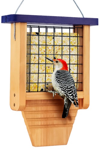 Wooden suet bird feeder - suet,