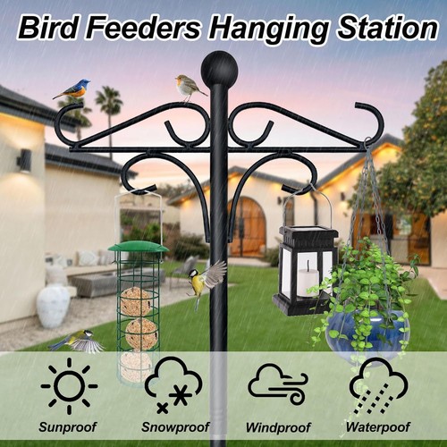 Bird feeder pole - bird,