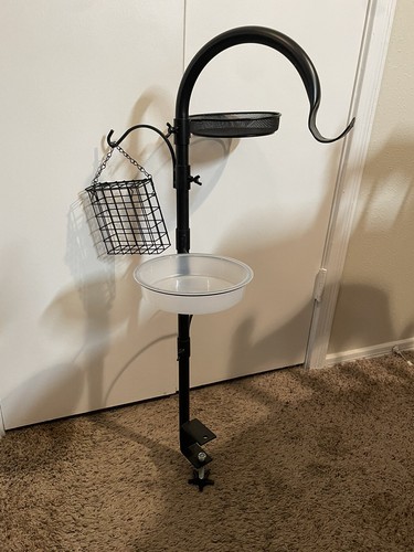 Bird feeding station - feeding, to