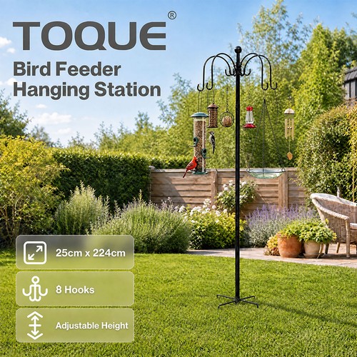 Toque bird feeding station - bird,