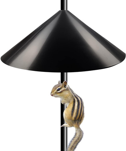 Squirrel baffle for bird - baffle,