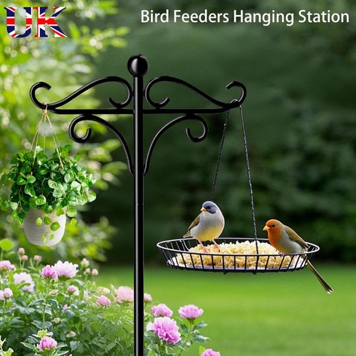 Bird feeders hanging station - bird,