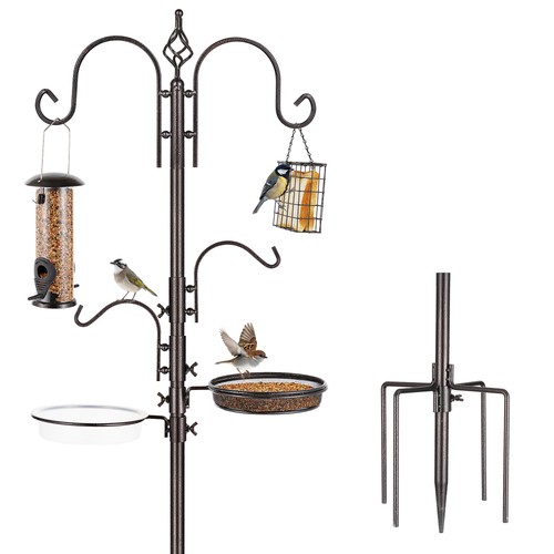 Erytlly bird feeding station - bird,
