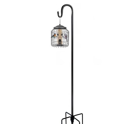 33m bird feeding - 2.33m,
